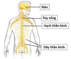 Hình minh họa